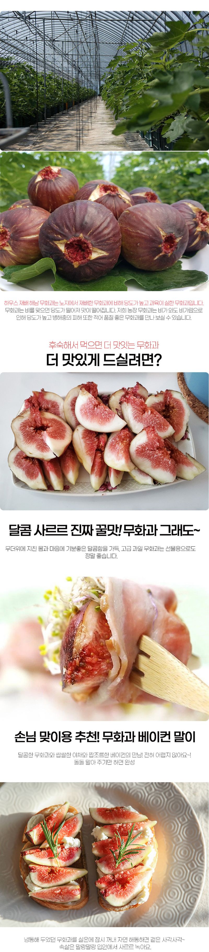 초록미소농장님의 장터 판매 상품 [초록미소 당일수확 GAP 인증 해남 고당도 무화과 2팩~8팩 판매합니다.] 첨부 사진