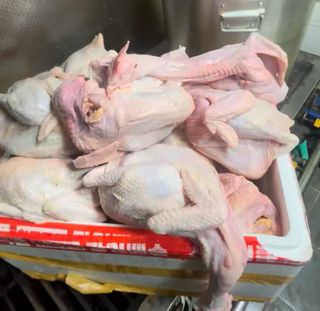 노계원함님의 자유주제 · 자유게시판 작성글 사진