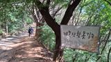 팜모닝 자유주제·자유게시판 게시글 이미지