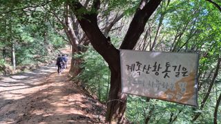 MSG0074님의 자유주제·자유게시판 작성글 사진