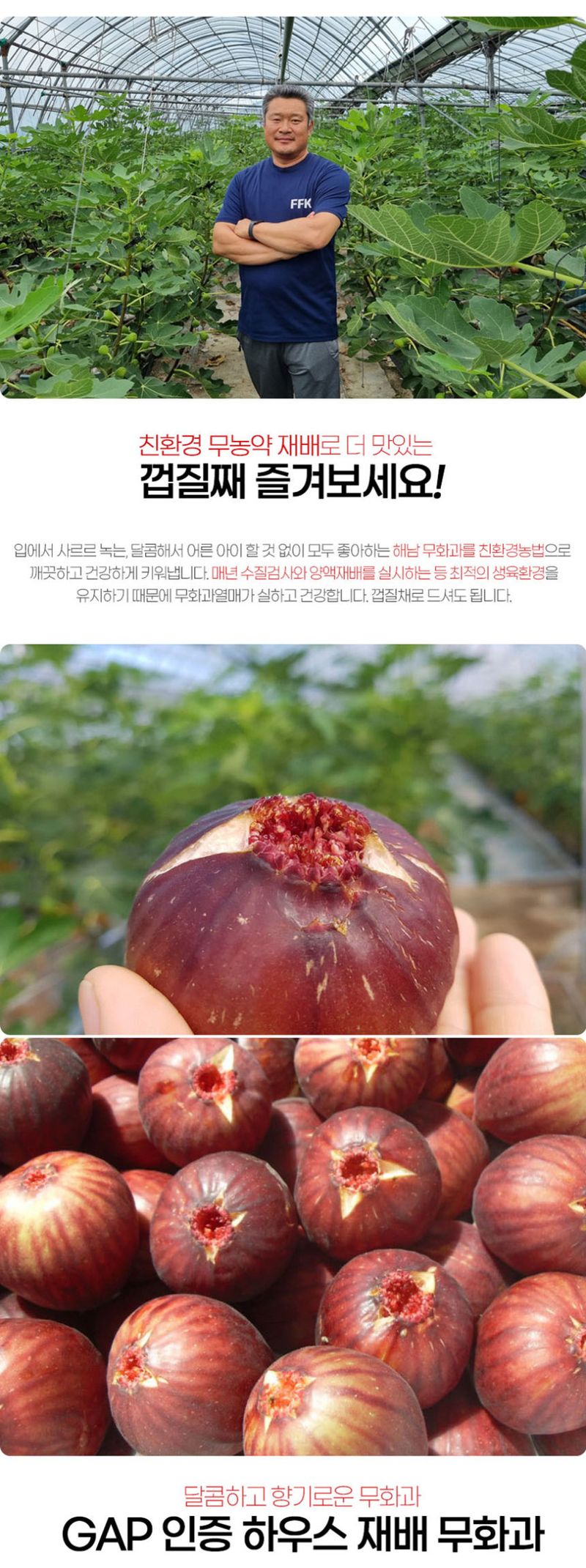 초록미소농장님의 장터 판매 상품 [초록미소 당일수확 GAP 인증 해남 고당도 무화과 2팩~8팩 판매합니다.] 첨부 사진