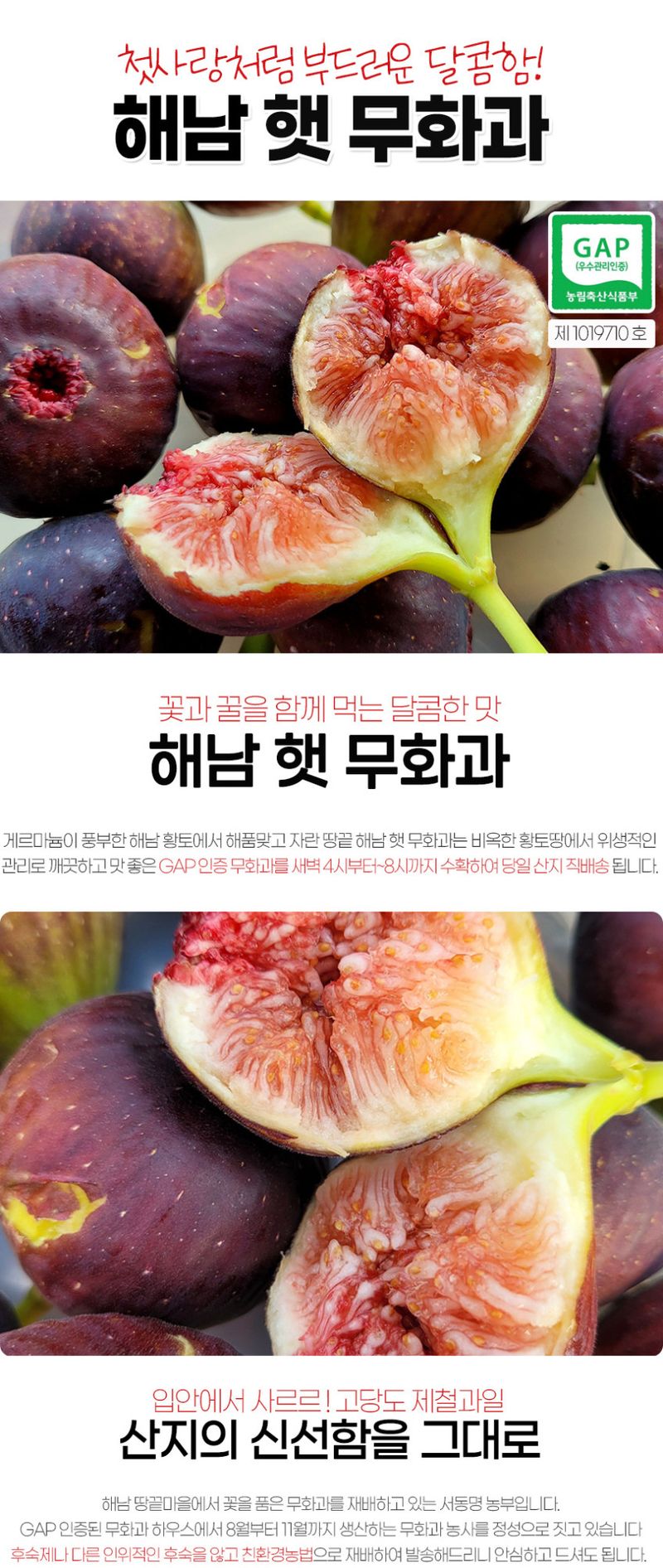 초록미소농장님의 장터 판매 상품 [초록미소 당일수확 GAP 인증 해남 고당도 무화과 2팩~8팩 판매합니다.] 첨부 사진