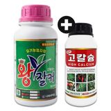 팜모닝 · 게시글 이미지