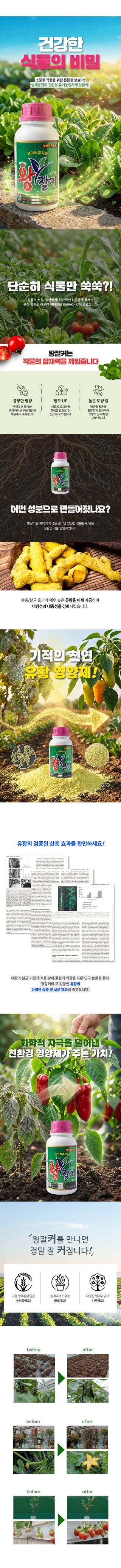 산들마켓,씨앗마켓님의 작성글 사진
