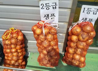이용근님의 자유주제 · 자유게시판 작성글 사진
