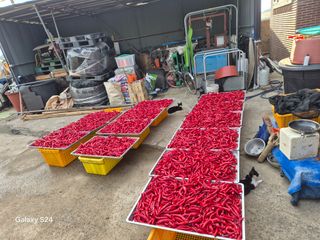 사천시향촌동 돼지띠님의 자유주제 · 자유게시판 작성글 사진