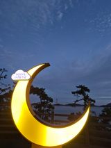 팜모닝 자유주제·자유게시판 게시글 이미지