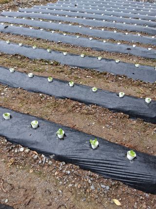인생은 소풍처럼~님의 자유주제 · 자유게시판 작성글 사진
