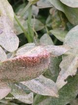 팜모닝 자유주제·자유게시판 게시글 이미지