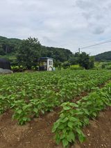 Kns4324님의 자유주제·자유게시판 작성글 사진