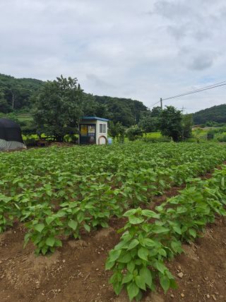 Kns4324님의 자유주제 · 자유게시판 작성글 사진