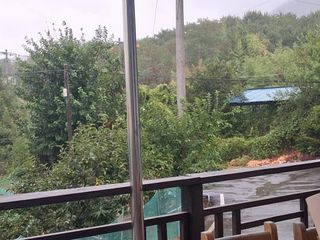 영수농원님의 자유주제 · 자유게시판 작성글 사진