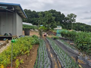 Kns4324님의 자유주제 · 자유게시판 작성글 사진