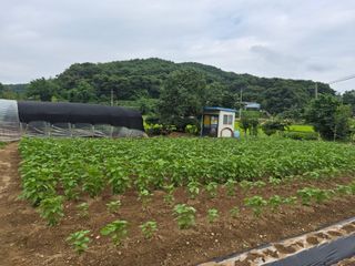 Kns4324님의 자유주제 · 자유게시판 작성글 사진