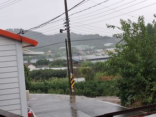 영수농원님의 자유주제 · 자유게시판 작성글 사진