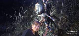 달맛햇복숭아농원님의 자유주제 · 사진전 작성글 사진