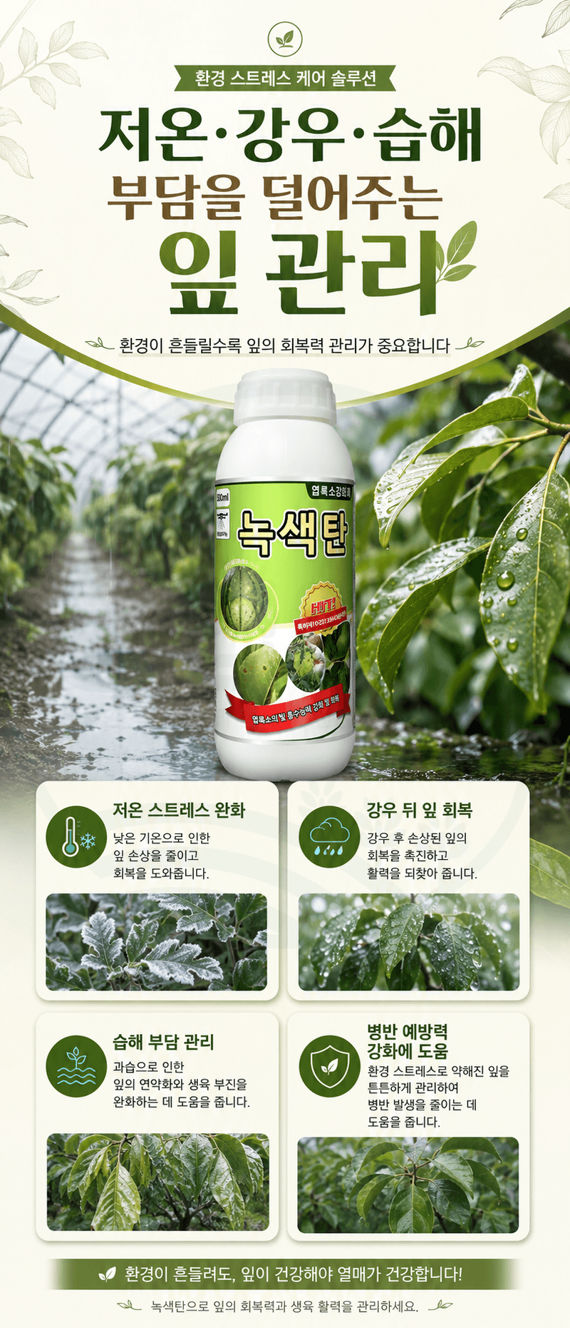 농업마켓365님의 장터 판매 상품 [바이오플랜 녹색탄 500ml 광합성촉진제 갈반병예방 천공병예방 엽록소강화 생육회복제 식물영양제] 첨부 사진