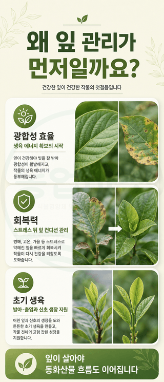 농업마켓365님의 작성글 사진