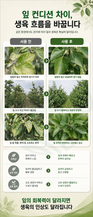 농업마켓365님의 작성글 사진