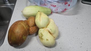 김재량 가을이야.님의 자유주제 · 자유게시판 작성글 사진