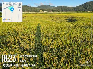 사천시향촌동 돼지띠님의 자유주제 · 자유게시판 작성글 사진