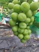 홈 갤러리 이미지