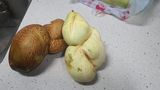 김재량 가을이야.님의 자유주제·자유게시판 작성글 사진