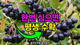 팜모닝 자유주제·자유게시판 게시글 이미지