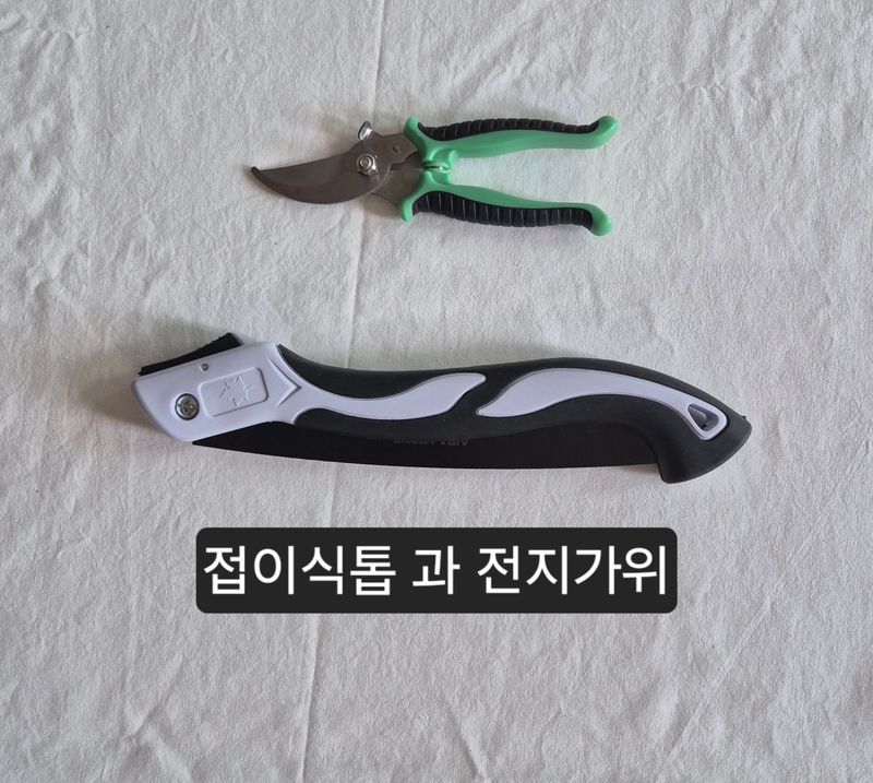 감21092님의 장터 판매 상품 [접이식 톱 과 전지가위] 첨부 사진