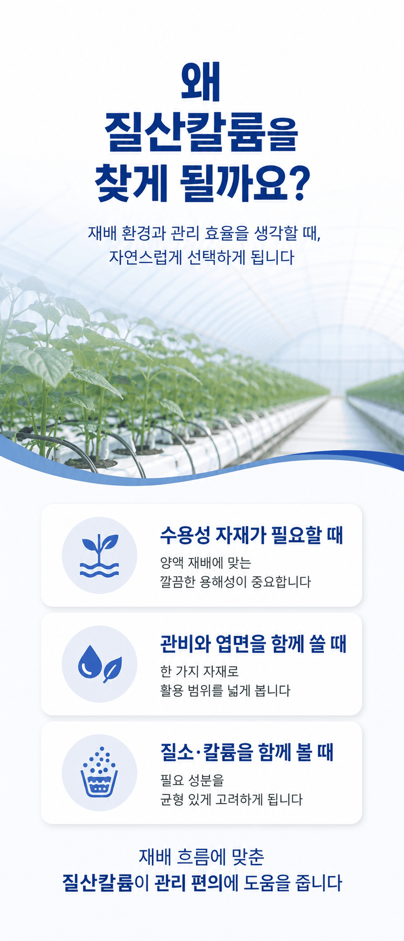 농업마켓365님의 장터 판매 상품 [프리미엄 질산칼륨 25KG 이스라엘 수입산 하이파케미칼 양액비료 관주비료] 첨부 사진