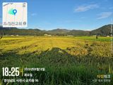팜모닝 자유주제·자유게시판 게시글 이미지
