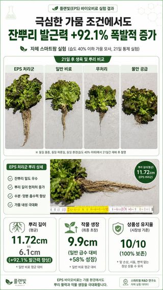 이재희(농빛)님의 자유주제 · 자유게시판 작성글 사진