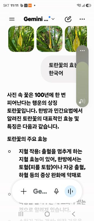 조정숙(1955)님의 자유주제 · 자유게시판 작성글 사진