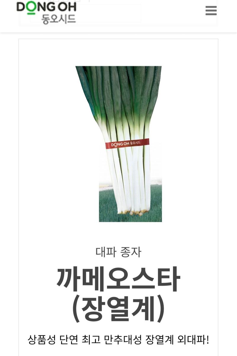 안산제일농약사님의 장터 판매 상품 [까메오스타대파모종 1판 200구 남은수량50판] 첨부 사진