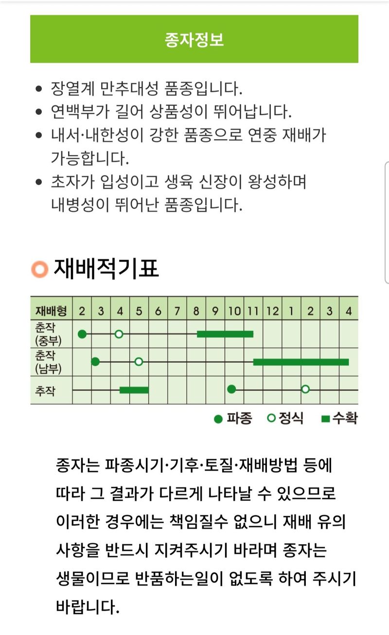 안산제일농약사님의 장터 판매 상품 [까메오스타대파모종 1판 200구 남은수량50판] 첨부 사진