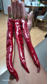 이종권님의 자유주제·자유게시판 작성글 사진