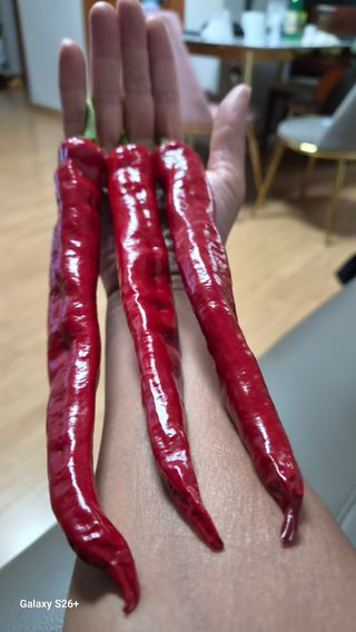 이종권님의 자유주제 · 자유게시판 작성글 사진