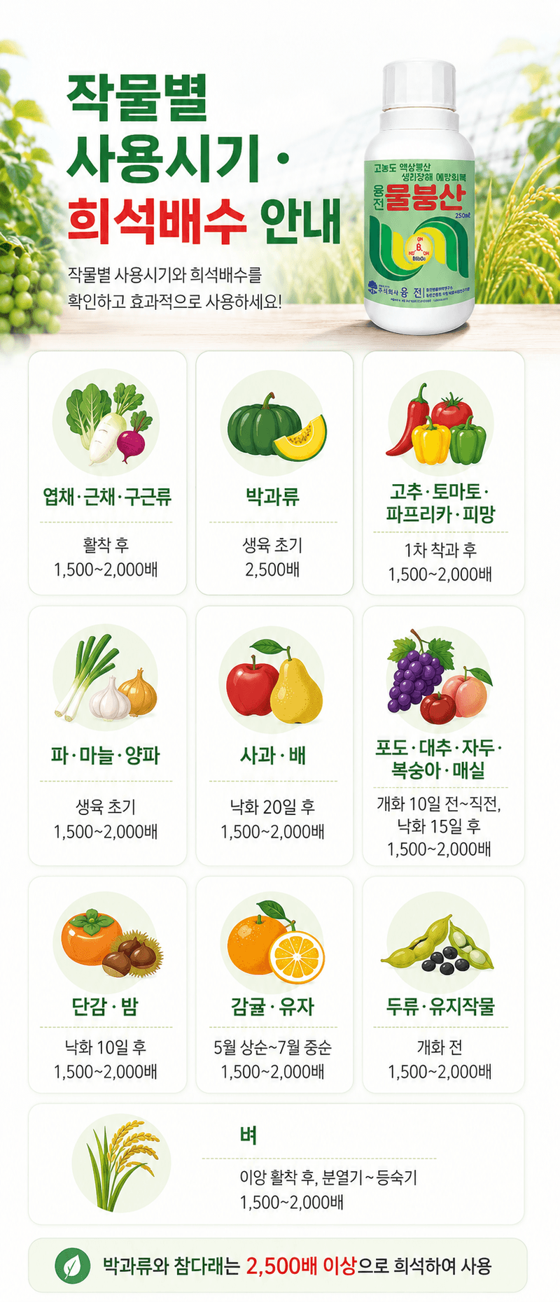농업마켓365님의 장터 판매 상품 [융전 물붕산 250ML 고농도 액상 붕소 착과 개화 관리 생리장해 관리] 첨부 사진