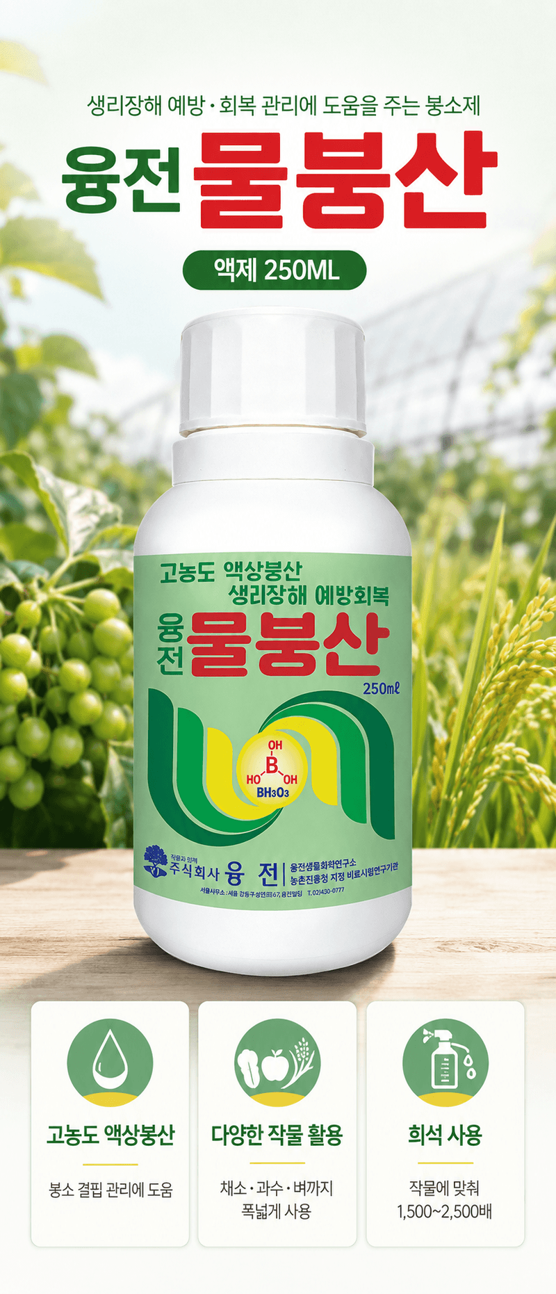 농업마켓365님의 장터 판매 상품 [융전 물붕산 250ML 고농도 액상 붕소 착과 개화 관리 생리장해 관리] 첨부 사진
