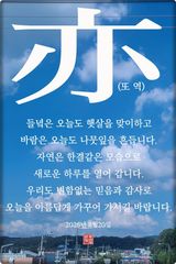 팜모닝 자유주제·자유게시판 게시글 이미지