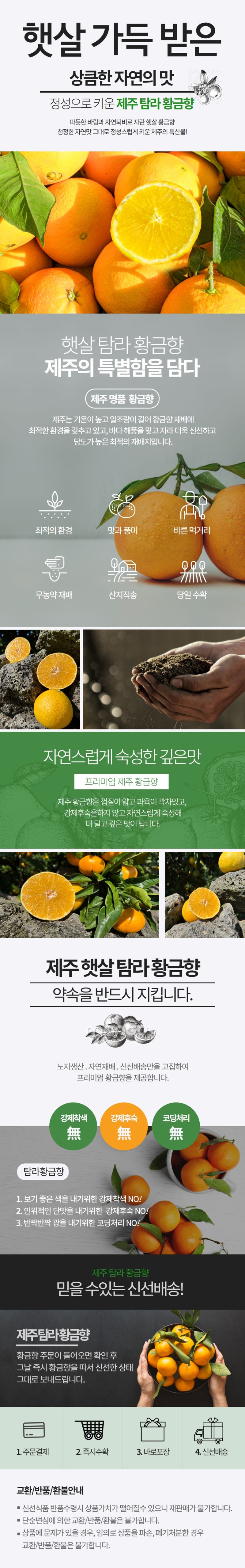 팜포켓님의 장터 판매 상품 [무료배송 제주 고당도 황금향 3kg 4.5kg 로얄과 가정용 선물용 산지직송] 첨부 사진