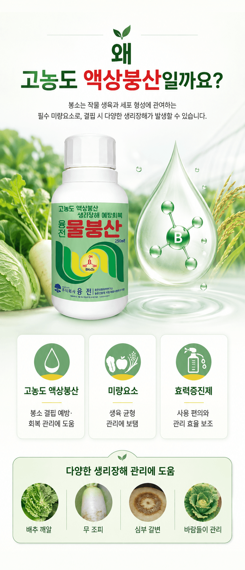 농업마켓365님의 장터 판매 상품 [융전 물붕산 250ML 고농도 액상 붕소 착과 개화 관리 생리장해 관리] 첨부 사진