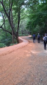 팜모닝 자유주제·자유게시판 게시글 이미지