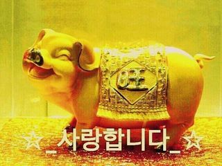 게으른뱅이잔디꽃님의 자유주제·자유게시판 작성글 사진