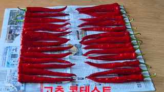 이종권님의 자유주제 · 자유게시판 작성글 사진