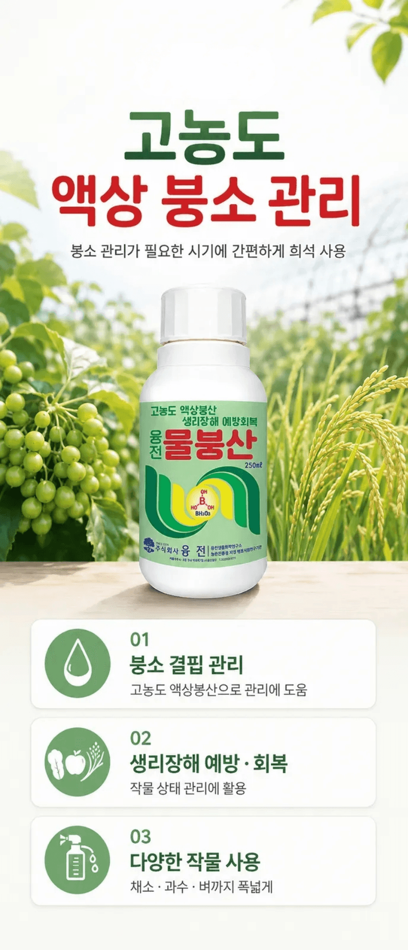 농업마켓365님의 장터 판매 상품 [융전 물붕산 250ML 고농도 액상 붕소 착과 개화 관리 생리장해 관리] 첨부 사진