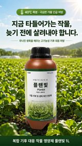 팜모닝 자유주제·자유게시판 게시글 이미지