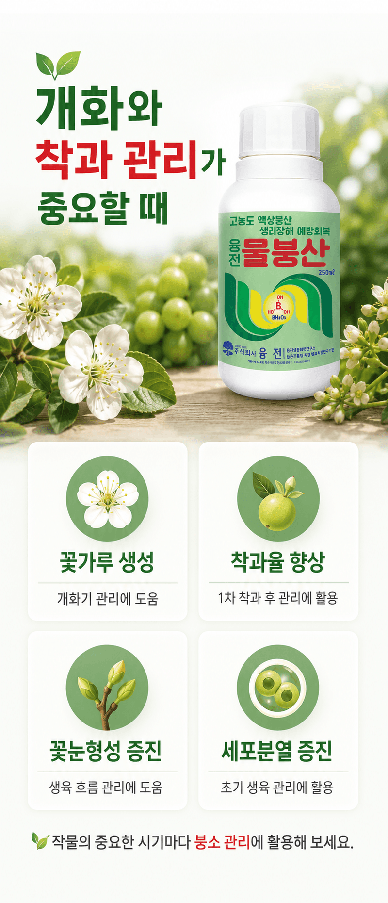 농업마켓365님의 장터 판매 상품 [융전 물붕산 250ML 고농도 액상 붕소 착과 개화 관리 생리장해 관리] 첨부 사진