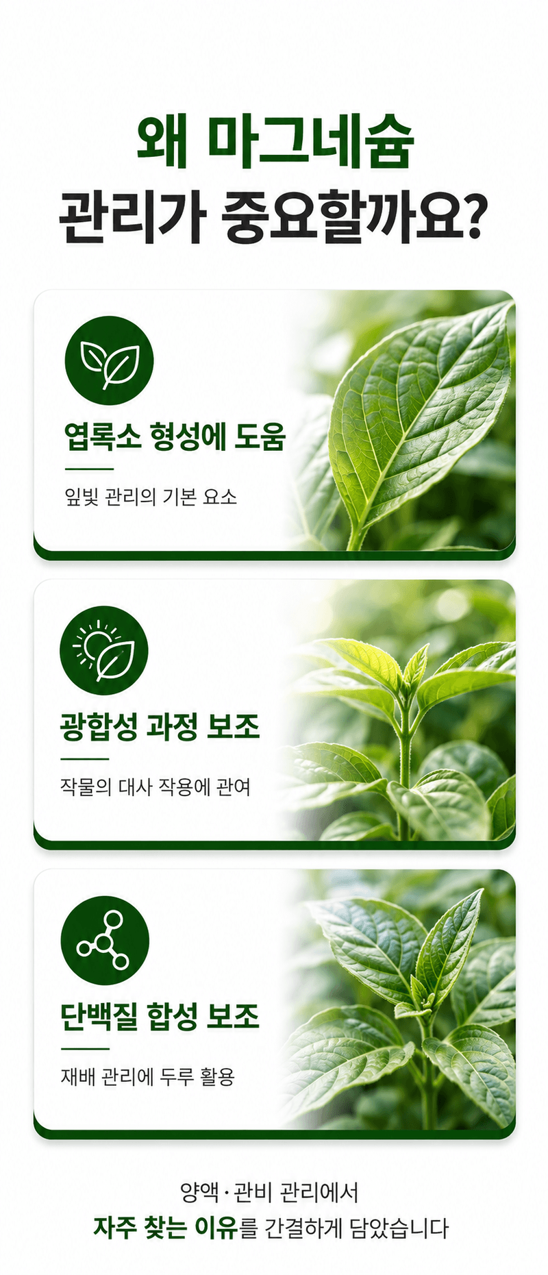 농업마켓365님의 장터 판매 상품 [양액용 황산마그네슘 7수염 25kg 황화예방 마그네슘비료 관주비료 양액비료] 첨부 사진