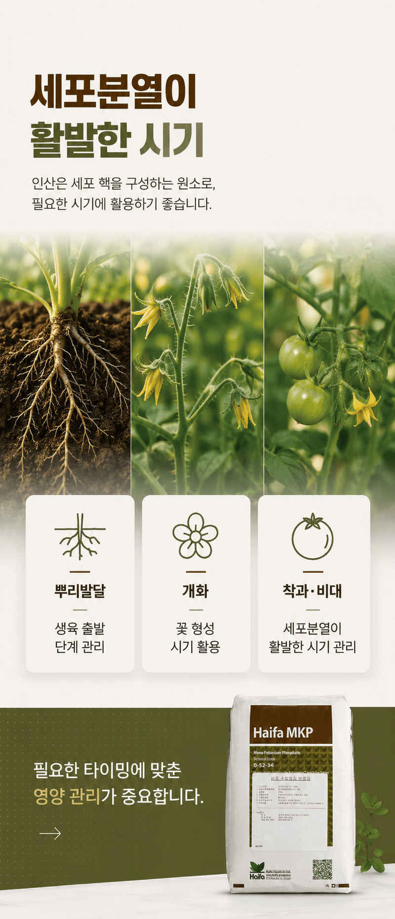 농업마켓365님의 장터 판매 상품 [제1인산칼륨 25KG 하이파케미칼 이스라엘 수입산 인산가리비료 인산칼륨양액용] 첨부 사진